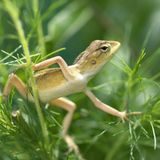 Das User-Foto des Tages - November 2007 - Bild 15