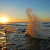 Das User-Foto des Tages - November 2007 - Bild 19