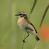 Das User-Foto des Tages - November 2007 - Bild 20