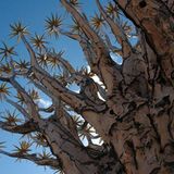 Das User-Foto des Tages - November 2007 - Bild 21