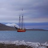 Fotoshow: Reise ins arktische Eis - Bild 5