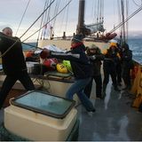 Fotoshow: Reise ins arktische Eis - Bild 7