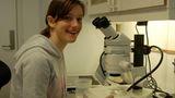 Fotoshow: Reise ins arktische Eis - Bild 9