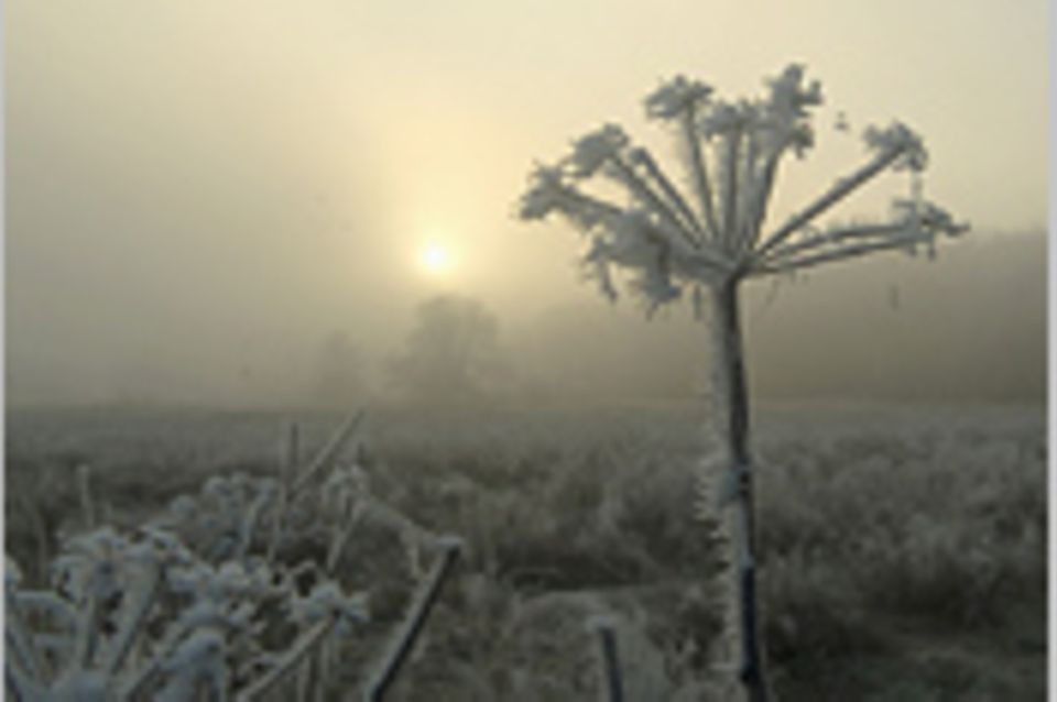 Das User-Foto des Tages - Dezember 2007