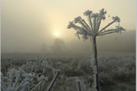 Das User-Foto des Tages - Dezember 2007