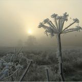 Das User-Foto des Tages - Dezember 2007