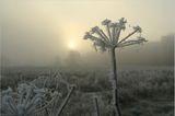 Das User-Foto des Tages - Dezember 2007