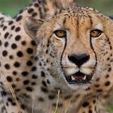 Das User-Foto des Tages - Dezember 2007 - Bild 2