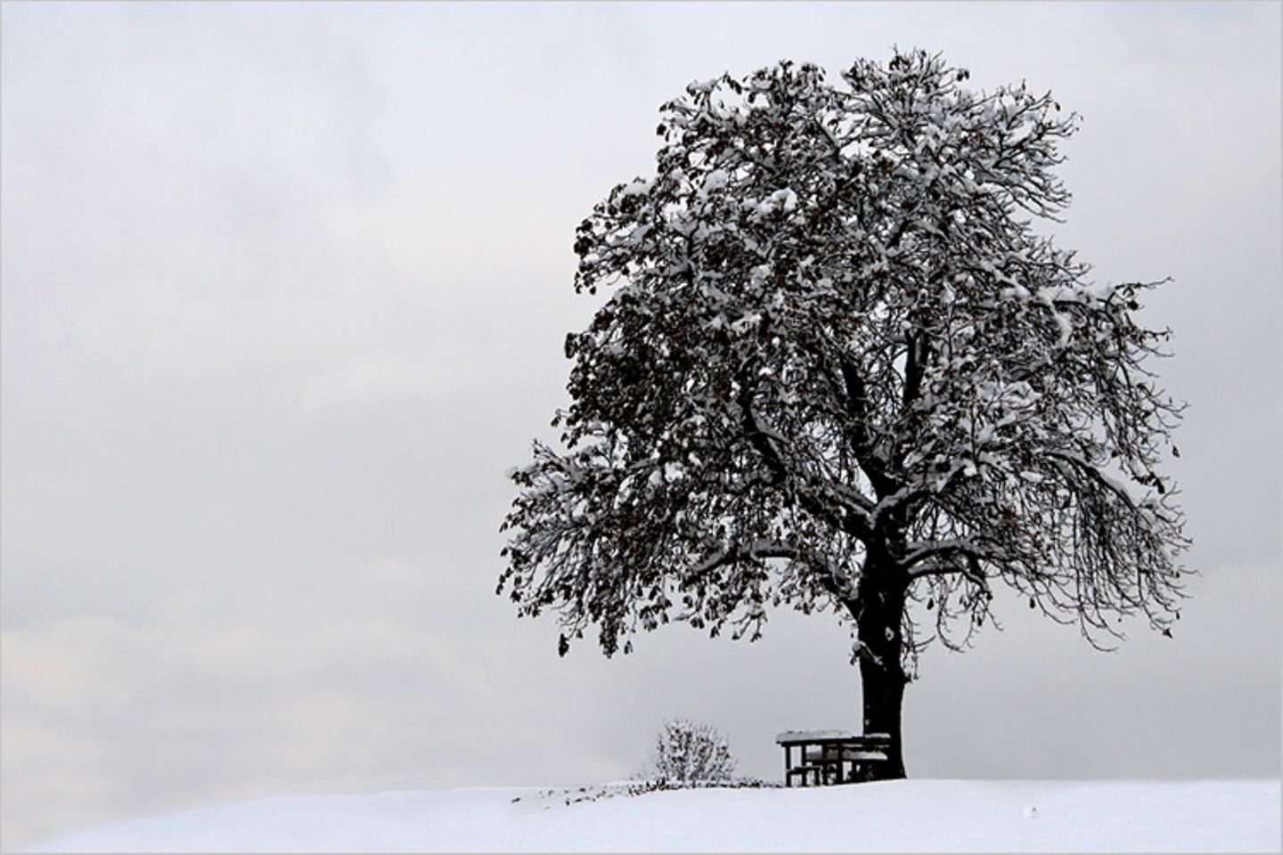Das User-Foto des Tages - Dezember 2007 - Bild 3