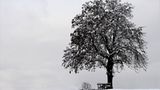 Das User-Foto des Tages - Dezember 2007 - Bild 3