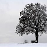 Das User-Foto des Tages - Dezember 2007 - Bild 3