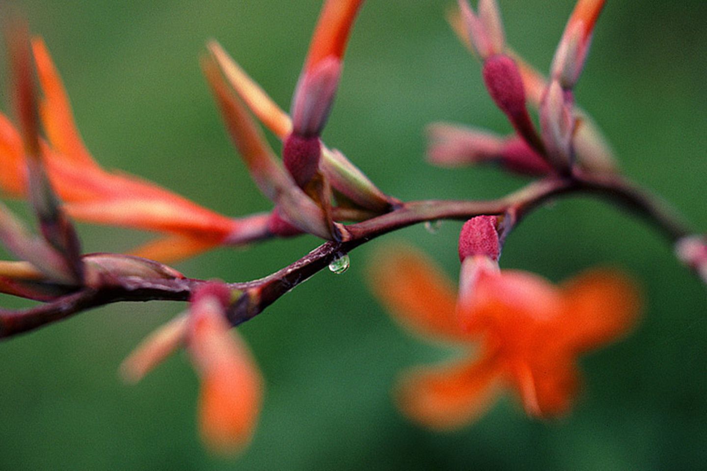 Das User-Foto des Tages - Dezember 2007 - Bild 8