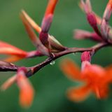 Das User-Foto des Tages - Dezember 2007 - Bild 8