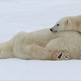 Das User-Foto des Tages - Dezember 2007 - Bild 9