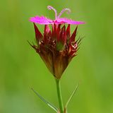 Das User-Foto des Tages - Dezember 2007 - Bild 13