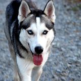 Das User-Foto des Tages - Dezember 2007 - Bild 15