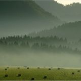 Das User-Foto des Tages - Dezember 2007 - Bild 16