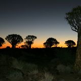 Das User-Foto des Tages - Dezember 2007 - Bild 18