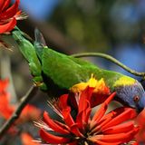 Das User-Foto des Tages - Dezember 2007 - Bild 19