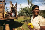 Bolivien: Aufbruch ins gelobte Land