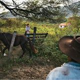 Bolivien: Aufbruch ins gelobte Land - Bild 8