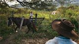 Bolivien: Aufbruch ins gelobte Land - Bild 8