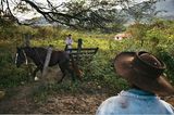 Bolivien: Aufbruch ins gelobte Land - Bild 8