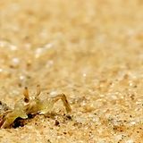 Das User-Foto des Tages - Januar 2008