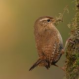 Das User-Foto des Tages - Januar 2008 - Bild 6