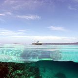 Das User-Foto des Tages - Januar 2008 - Bild 7