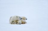 Das User-Foto des Tages - Januar 2008 - Bild 10
