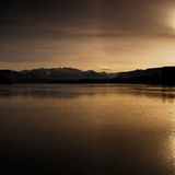 Das User-Foto des Tages - Januar 2008 - Bild 11