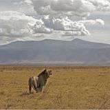 Das User-Foto des Tages - Januar 2008 - Bild 12