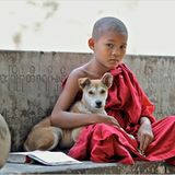 Das User-Foto des Tages - Januar 2008 - Bild 15