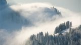 Das User-Foto des Tages - Januar 2008 - Bild 16