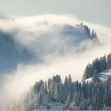 Das User-Foto des Tages - Januar 2008 - Bild 16