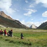 Das User-Foto des Tages - Januar 2008 - Bild 18