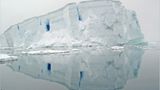 Das User-Foto des Tages - Januar 2008 - Bild 19