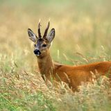 Das User-Foto des Tages - Januar 2008 - Bild 20