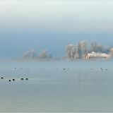 Das User-Foto des Tages - Januar 2008 - Bild 21