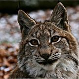 Das User-Foto des Tages - Januar 2008 - Bild 22