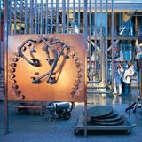 Heilpflanzen: Zurück zur Natur - Bild 2