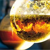 Heilpflanzen: Zurück zur Natur - Bild 6