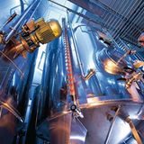 Heilpflanzen: Zurück zur Natur - Bild 7