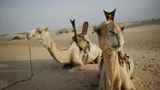 Fotogalerie: Die großen Abenteuerreisen - Bild 5