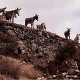 Fotogalerie: Die großen Abenteuerreisen - Bild 7