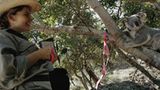 Fotogalerie: Die großen Abenteuerreisen - Bild 14