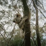 Fotogalerie: Die großen Abenteuerreisen - Bild 16