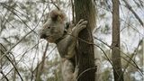 Fotogalerie: Die großen Abenteuerreisen - Bild 16