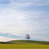 Das User-Foto des Tages - Februar 2008